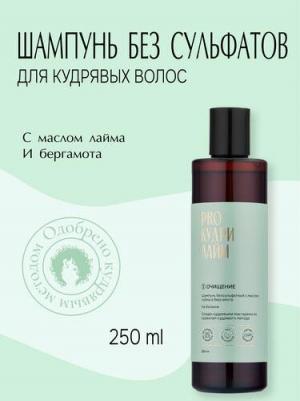 Шампунь лайм бессульфатный для кудрявых и вьющихся волос, на бетаине, 250 мл – фото 2