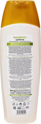 Шампунь BOTANICAL RITUALS Увлажняющий с маслом авокадо, 600 мл – фото 1