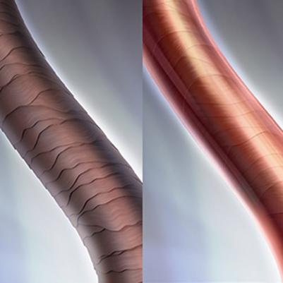 Шампунь Color Save Shampoo 1000 мл – фото 2