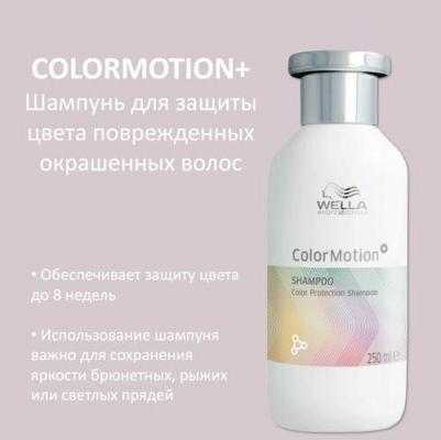 Шампунь для защиты цвета Color Motion+, 250 мл – фото 1