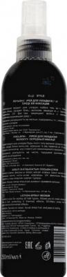 Professional Лосьон-спрей для укладки волос средней фиксации Lotion-Spray Medium, 250 мл – фото 9