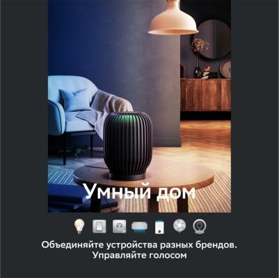 SberBoom, Черная материя – фото 18