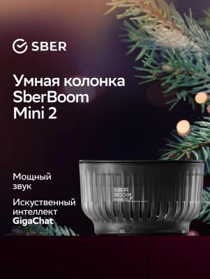 SberBoom mini 2, Квантовый черный – фото 3