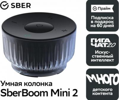 SberBoom mini 2, Квантовый черный – фото 18