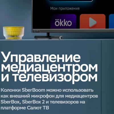 SberBoom mini 2, Неоновый серый – фото 11