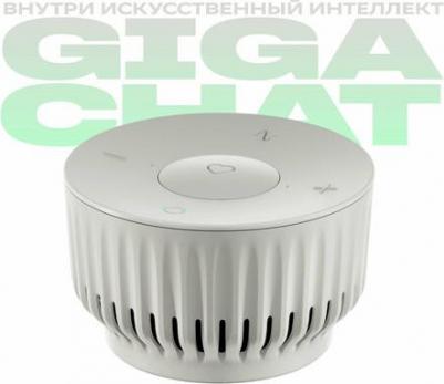 SberBoom Mini, Туманный белый – фото 16