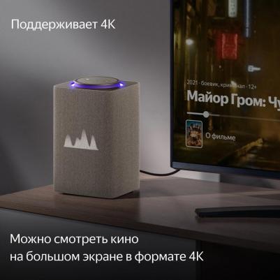 Станция Макс с Zigbee, Бежевый (YNDX-00053) – фото 13
