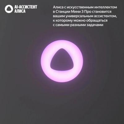 Станция Мини 3 Про, Серый – фото 9