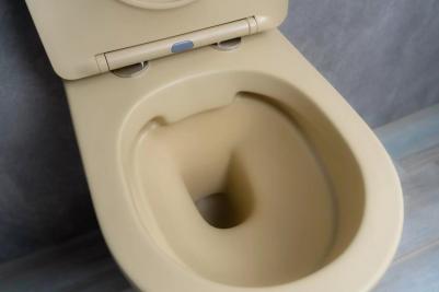 Sr2198 – фото 3