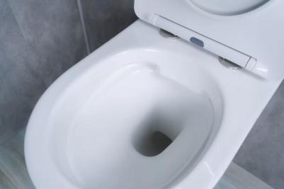 Ws2198 – фото 4