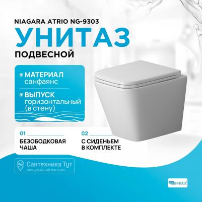 NG-9303 – фото 1