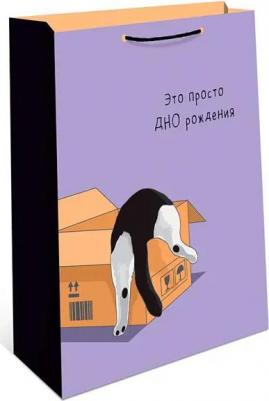 Пакет подарочный ламинированный BC НГ 18х22,5см