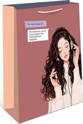 Пакет подарочный ламинированный BC НГ 18х22,5см – фото 9