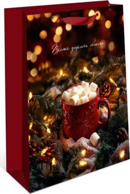 Подарочный пакет Плюс 22x18 см в ассортименте