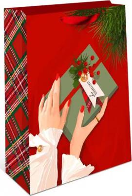 Подарочный пакет Плюс 42x33 см в ассортименте