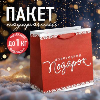 Пакет крафтовый квадратный "Новогодний подарок", 22 x 22 x 11см – фото 3