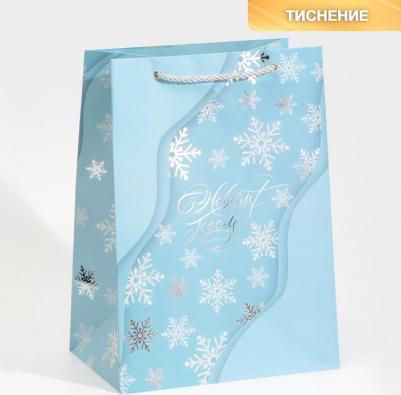 Пакет ламинированный "Лед", 21 x 30 x 15 см