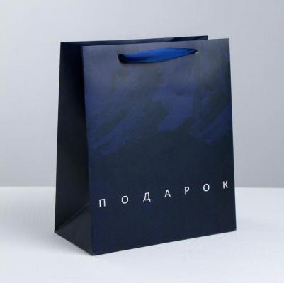 Пакет ламинированный вертикальный "Подарок", ML 23 x 27 x 11.5 см