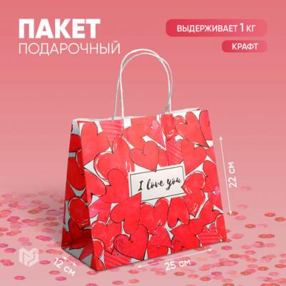 Пакет ламинированный вертикальный "С характером", MS 18 x 23 x 10 см – фото 5