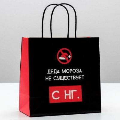 Пакет подарочный "Деда мороза не существует", 22 x 22 x 11 см 4865440