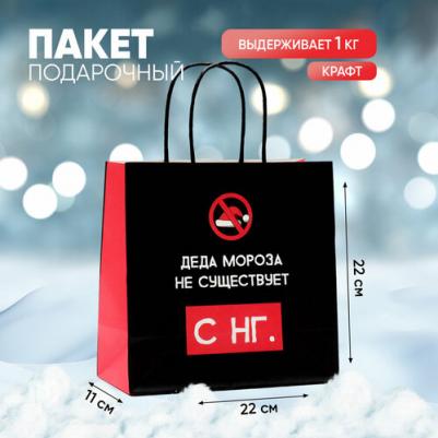 Пакет подарочный "Деда мороза не существует", 22 x 22 x 11 см 4865440 – фото 1