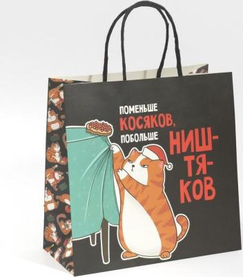 Пакет подарочный "Косяки наше все", 22 x 22 x 11 см