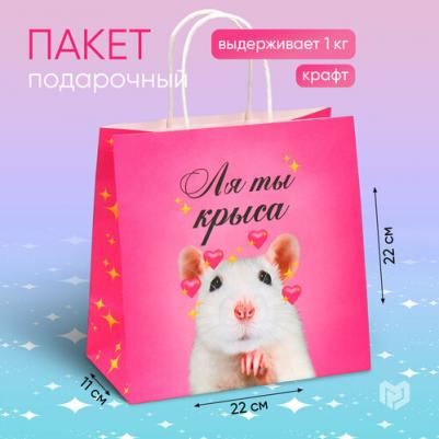 Пакет подарочный "Ля ты", 22 х 22 х 11 см – фото 1