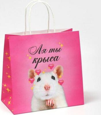 Пакет подарочный "Ля ты", 22 х 22 х 11 см – фото 2