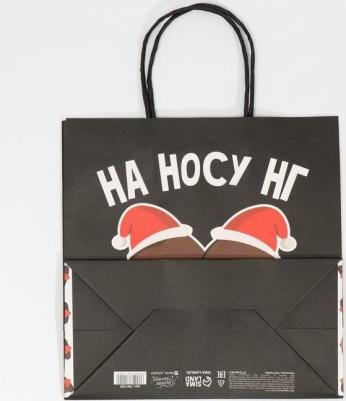 Пакет подарочный "На носу нг", 22 x 22 x 11 см – фото 2