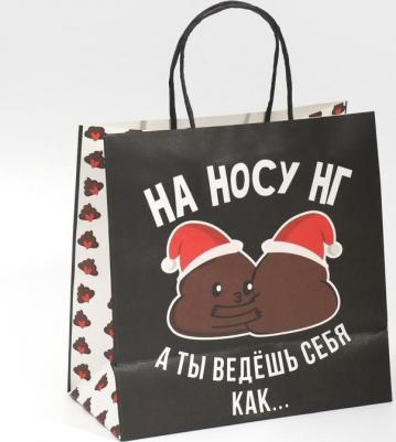 Пакет подарочный "На носу нг", 22 x 22 x 11 см – фото 3