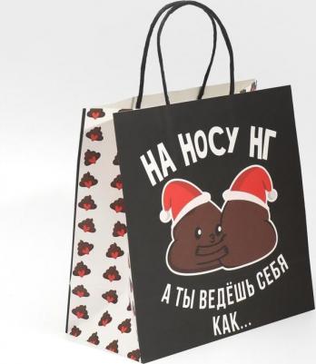 Пакет подарочный "На носу нг", 22 x 22 x 11 см – фото 4