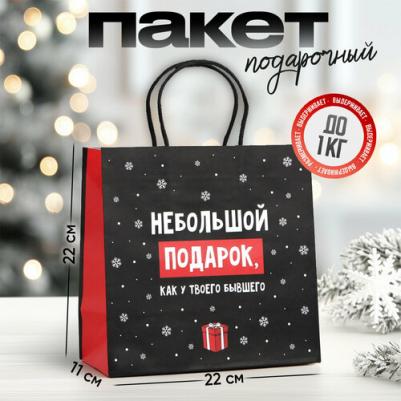 Пакет подарочный новогодний, "Небольшой подарок", 22 х 22 х 11 см, чёрный, крафтовый, для упаковки подарка на Новый год