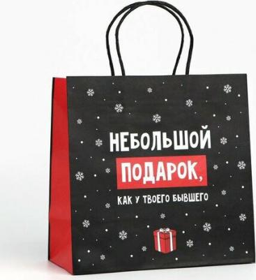 Пакет подарочный новогодний, "Небольшой подарок", 22 х 22 х 11 см, чёрный, крафтовый, для упаковки подарка на Новый год – фото 1
