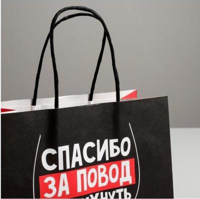 Пакет подарочный "Повод прибухнуть", 22 х 22 х 11 см – фото 1