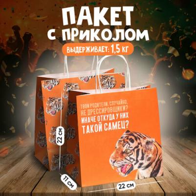 Пакет подарочный "Самец", 22 х 22 х 11 см – фото 1