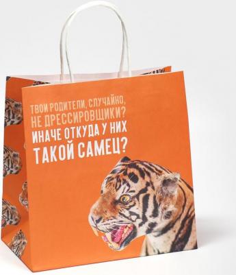 Пакет подарочный "Самец", 22 х 22 х 11 см – фото 2