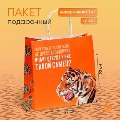 Пакет подарочный "Самец", 22 х 22 х 11 см