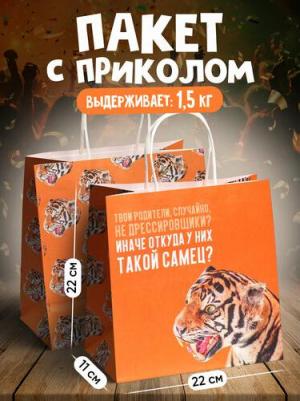Пакет подарочный "Самец", 22 х 22 х 11 см – фото 3