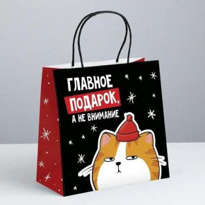 Пакет подарочный "Счастье", 22 x 22 x 11 см 6900076612111 – фото 9