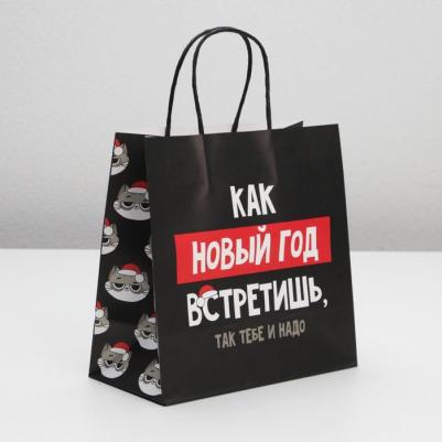 Пакет подарочный "Так тебе и надо", 22 x 22 x 11 см 6249075 – фото 1