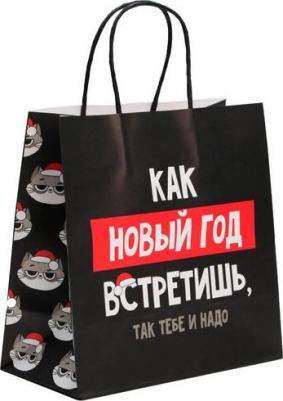 Пакет подарочный "Так тебе и надо", 22 x 22 x 11 см 6249075 – фото 2