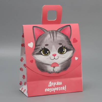 Пакет с формовым клапаном "Котик", 23 x 27 x 11.5 см