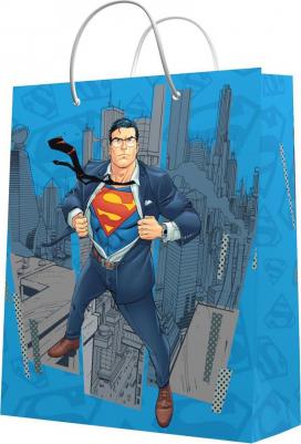Пакет подарочный большой Superman-1, 335*406*155 мм – фото 1