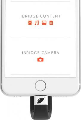 iBridge – фото 1