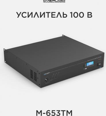 M-653Tm – фото 9