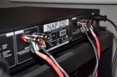 NAP 250 – фото 5