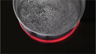 HK 634021 XB – фото 5