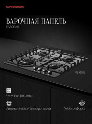 FG 66 B – фото 6