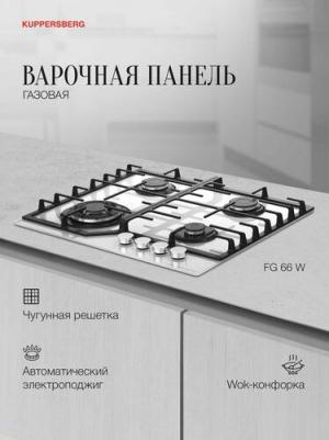 FG 66 B – фото 9