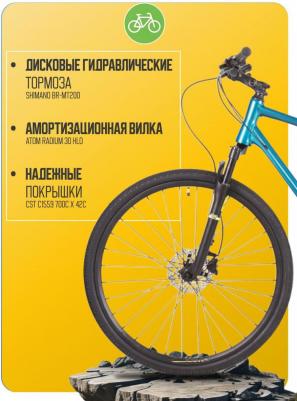 Symbiotic Cross (2024) – фото 3